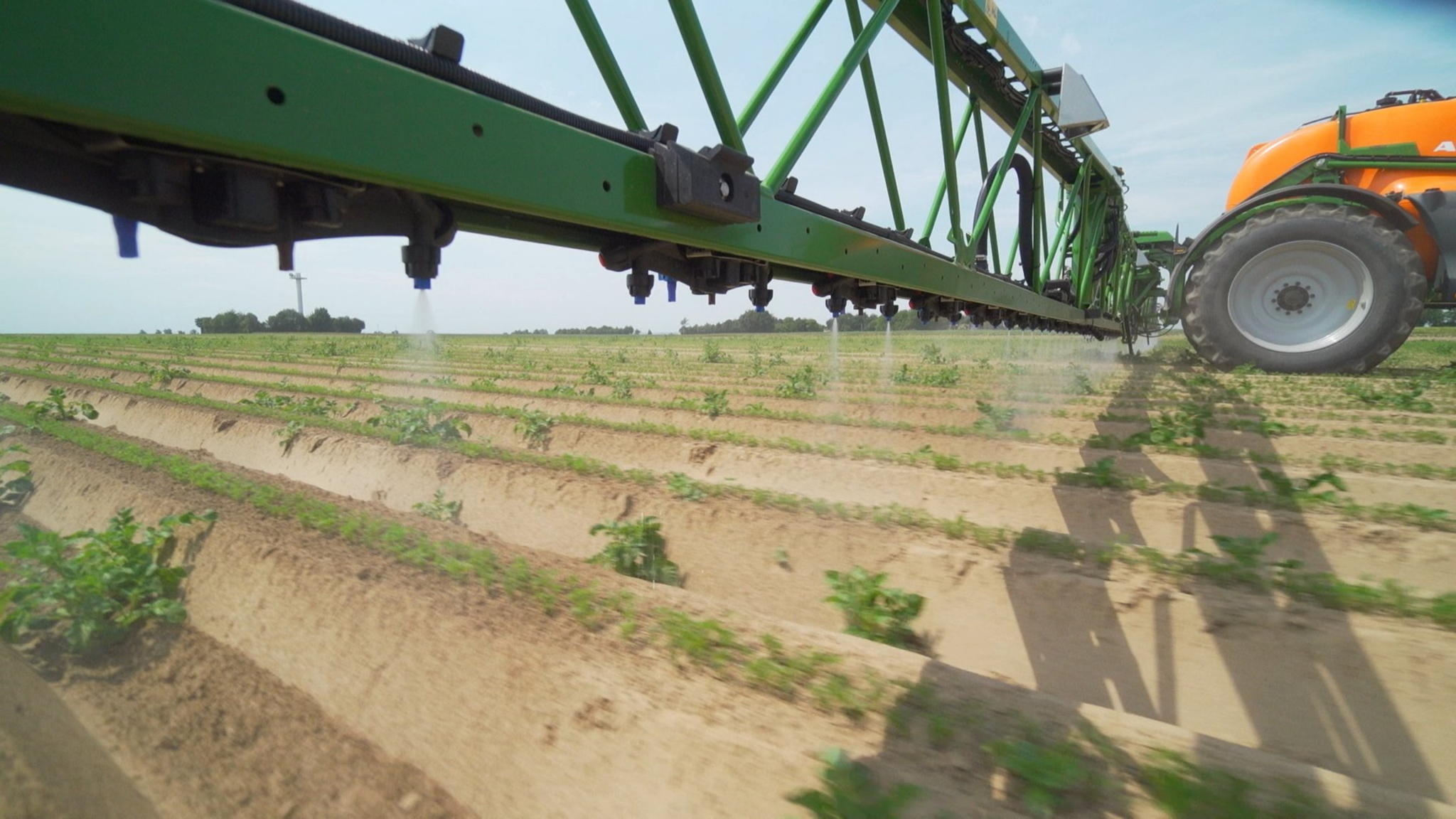 Spot - Spraying in Kartoffeln