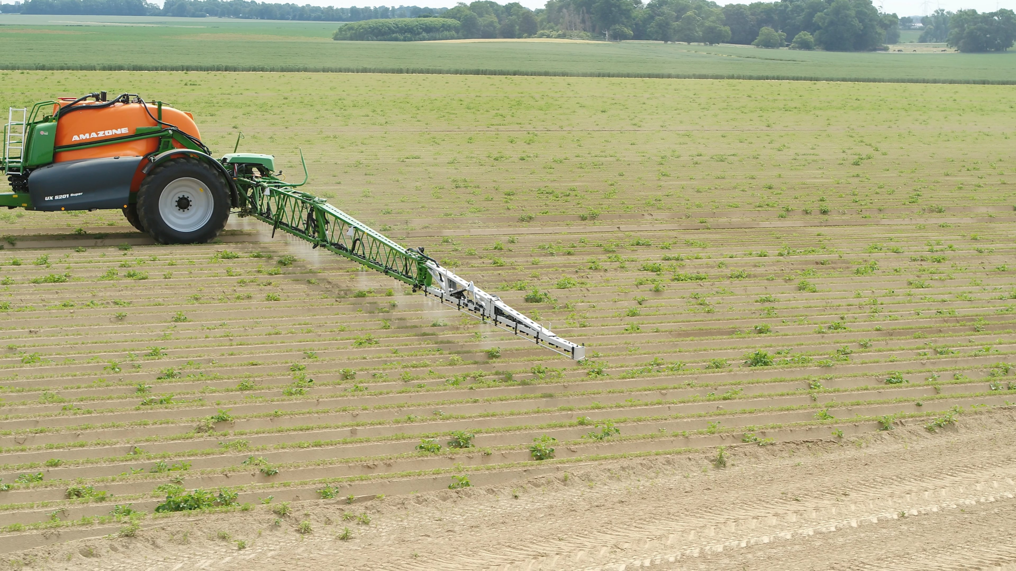 Spot - Spraying in Kartoffeln