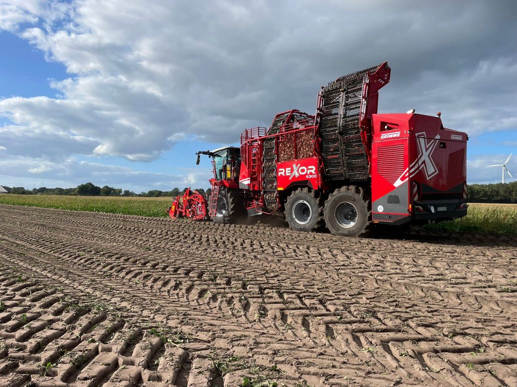 WhatsApp Image 2025-09-23 at 18.51.52 (4)