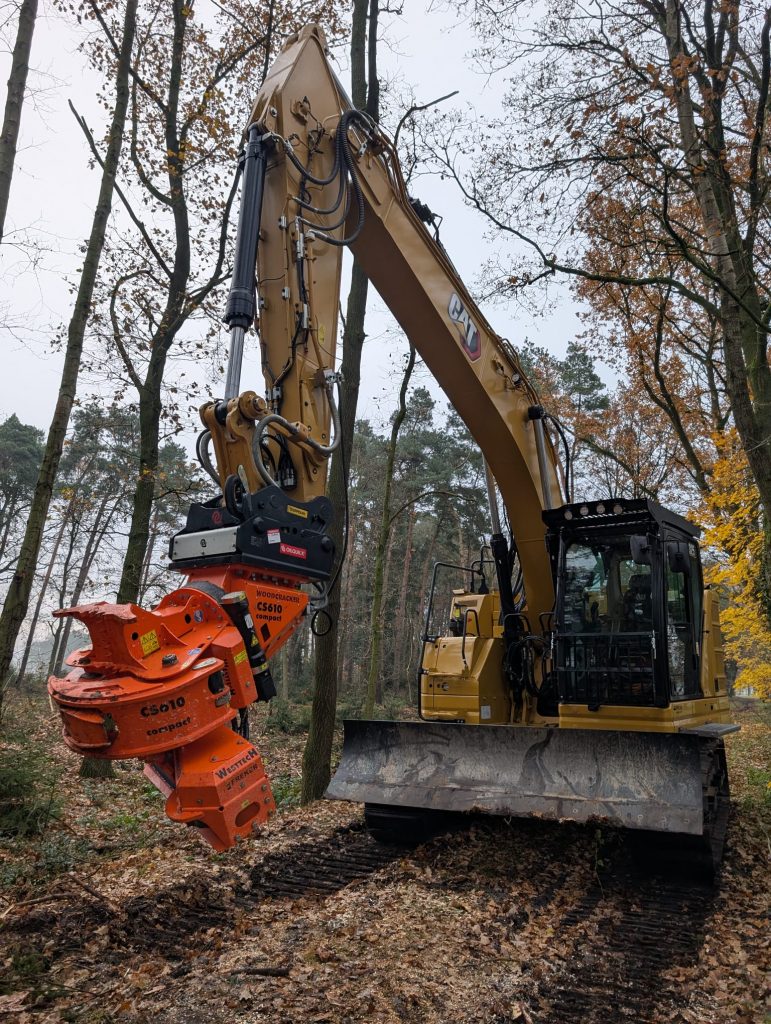 Rodearbeiten und Fällarbeiten Forst Bad Essen